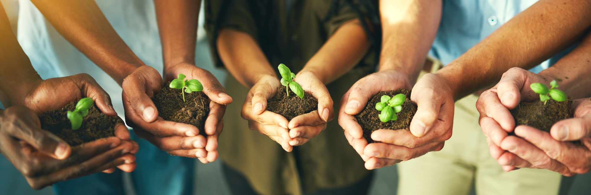 Il nostro impegno | Banca Macerata 1