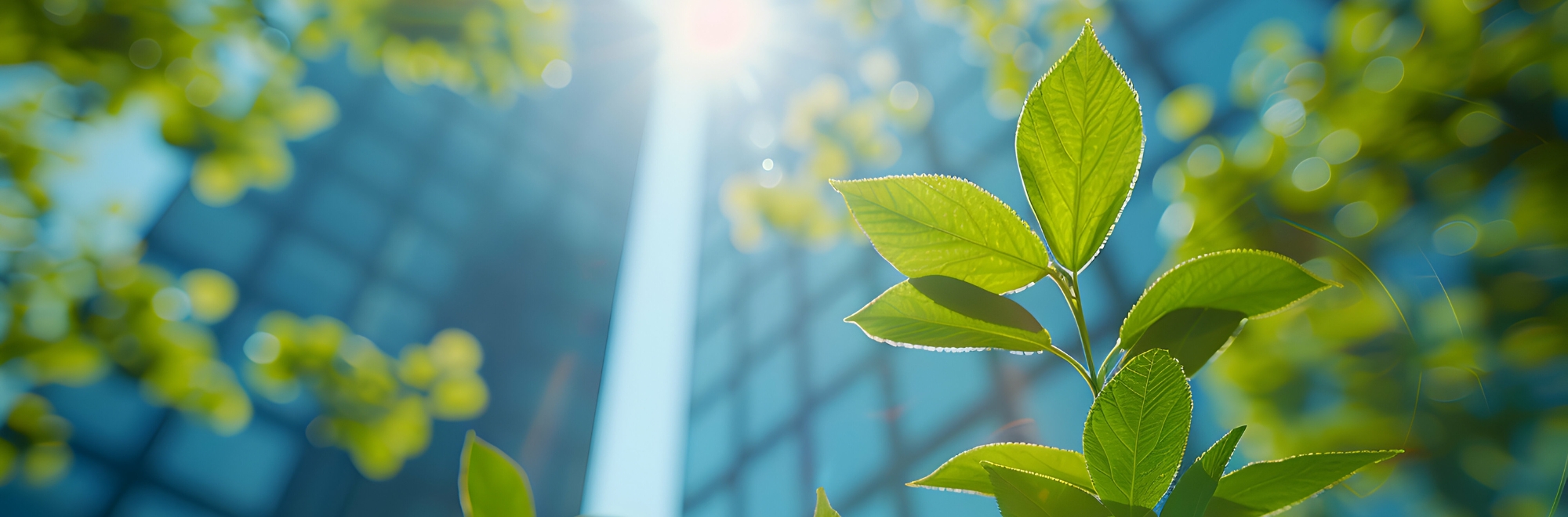 Environmental | Banca Macerata 1